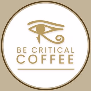 logo Bcritical